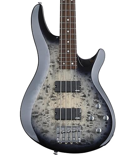 Amazon.com: Schecter Hellraiser Extreme-4 4-String Bass Guitar
